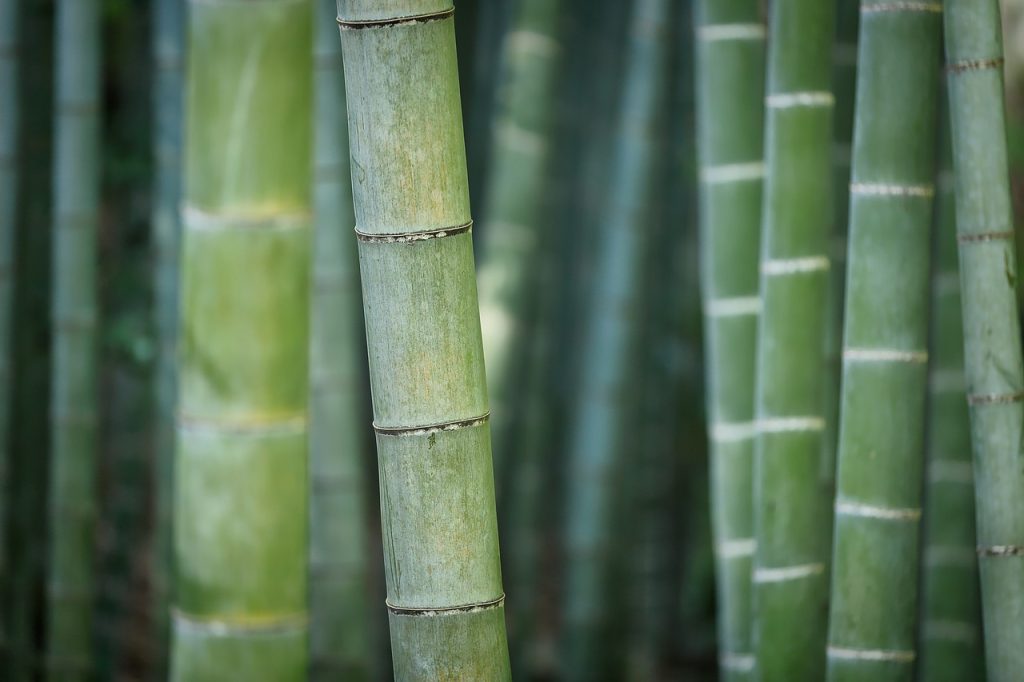 kayu terbaik untuk pameran
