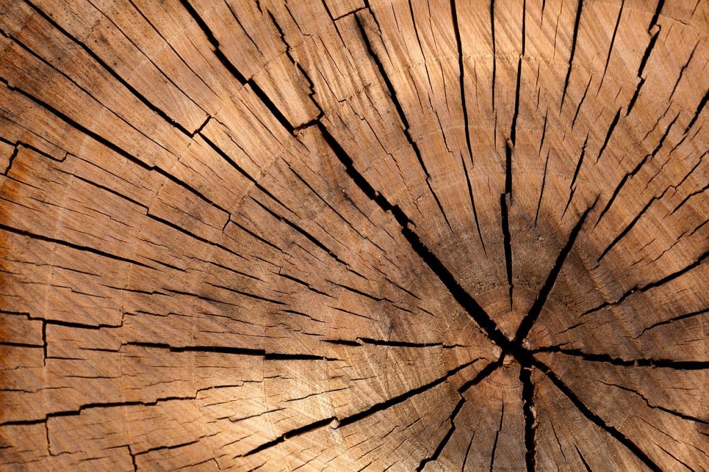 kayu terbaik untuk pameran